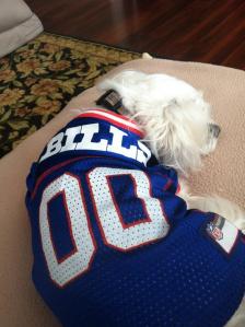Even the little guy is a Bills fan!
